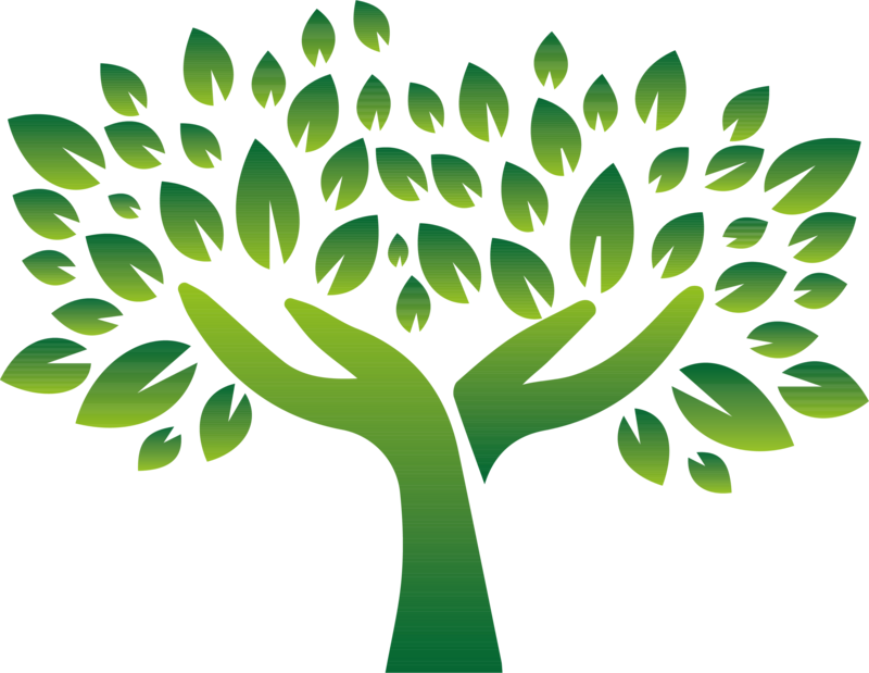 hand-for-tree-green-ecology